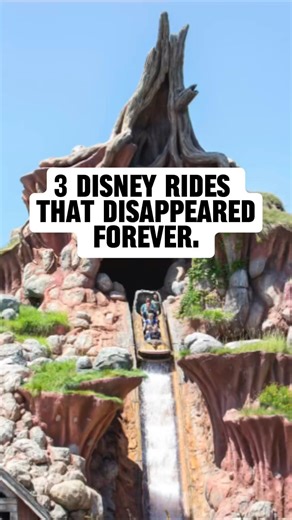 Disney rides don’t last forever…