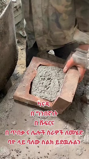 ADDIS ZEMEN CONSULTANCY on TikTok