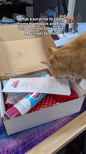 SilhouetteSecrets+ on Instagram: "Surprise deliveries are the best kind of motivation 😍✨ Came home from work to this box of Silhouette goodies waiting for me… and of course it had to pass inspection first 🐾✔️ Meet Goldy, my official supervisor, quality control manager, and unboxing assistant. Inside this creative treasure chest👇 ✨ Pink glitter adhesive vinyl ✨ Vase blank ✨ Wood hearts ✨ Heart box ✨ Pink Silhouette tool kit ✨ Rose gold foil stickers ✨ Clear sticker paper ✨ Magnet paper ✨ Shrin
