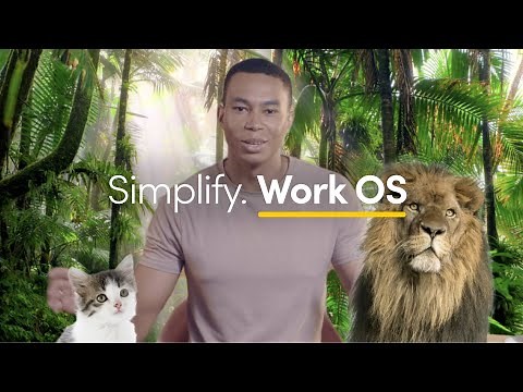 What is a Work OS? A platform to work better