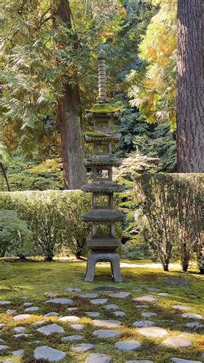 2.4K views · 325 reactions |  The landscape is really beginning to...