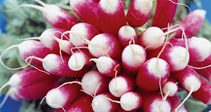 L’alimentation durable est-elle meilleure pour la santé ?