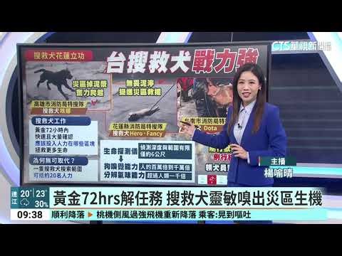 泥漿中奮戰的狗英雄！ 台灣搜救犬感動網友｜華視新聞 20251021 ‪@CtsTw‬