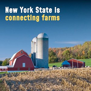 108K views · 5K reactions | At at time when people are hungry, no food should go to waste. Here's how NY is connecting farms to food banks: | Archive: Governor Andrew Cuomo | Facebook