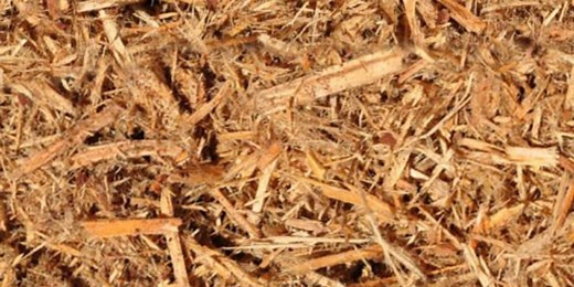 Should You Be Using Cypress Mulch? What You Need to Know | All Things Backyard