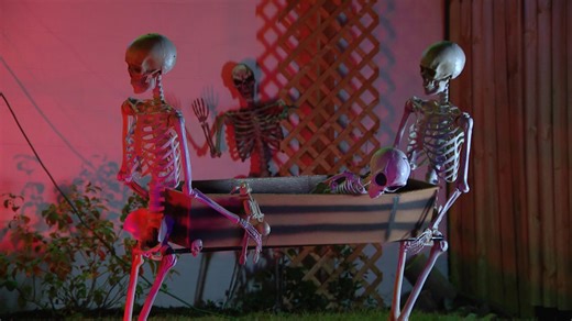 31 Days of Halloween: This unique Bellevue haunt features an animatronic skeleton petting zoo. http://www.ketv.com/article/bellevue-haunt-features-skeleton-petting-zoo/68991345 | KETV NewsWatch 7