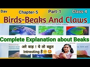 Dav Class 4 science chapter 5 Birds-Beaks and Claws || birds beaks and claws Class 4 dav school.
