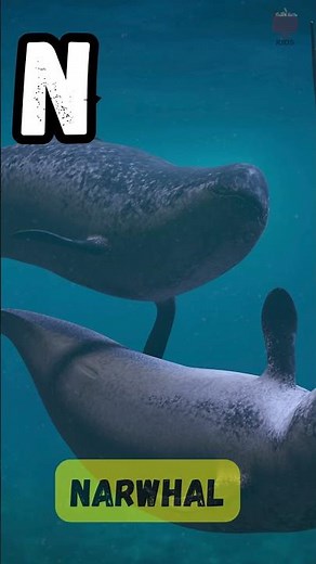 A to Z Dangerous Sea Animals Phonics Song 🦈🐙| Deadly ABC Ocean Creatures for Kids | UZR Kids #shorts