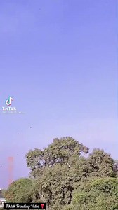 1.4K views · 12 reactions | Hit Videos | Status Videos | ❣ | Tik Tok Trending Videos | Facebook