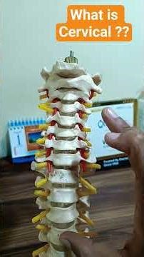 what is Cervical?? Neck Pain. Neck posture damages the Spine