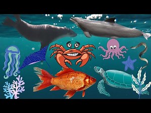 OCEAN ANIMALS Names and Sounds : - Dolphin, Sea Lion, Blue Whale, Seal, Shark, Penguin, Sea Turtle.