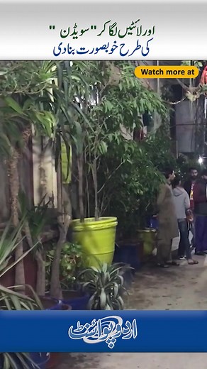 238K views · 10K reactions | Faisalabad Ki Street Ko Awam Ne Colorful Plants Or Lights Laga K Sweden Ki Tarah Beautiful Bana Diya #reels #IttefaqStreet #ModelStreet #ViralVideos #Faisalabad | UrduPoint.com | Facebook