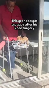 864 reactions · 21 comments | Roscoe, the puppy, helps 81-year-old Walter Ross from Texas to stay in shape as he recovers from his knee surgery 珞 ©️ ABC News | Free Your Mind and Think | Facebook