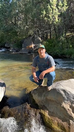 4.5K views · 101 reactions | How to fish spawn in the wild?! #fishtok #fish #fisheggs #biology | Henry Hawkins | Facebook