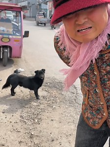 Funny Farm Voice Pranks 😂 #dogsoftiktok #funnyanimals #prankwithdogs #funnydonkey