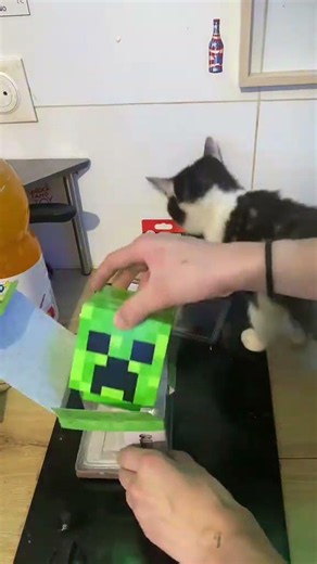 Elle est super belle et c’était pour seulement 10€ ! | #shorts #viral #minecraft #creeper