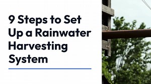 How to install a rainwater harvesting system