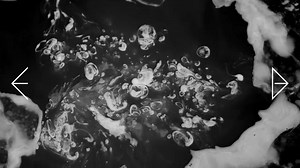 Ich freu mich - in 3 Wochen kommt mein neues Album 'FLÜSSIGES GLÜCK' (18.09.) als LP, CD & Download. Album bei iTunes vorbestellen und die Single „Neonlicht“ jetzt schon downloaden: http://found.ee/itunes_ennobunger Amazon CD: http://found.ee/amz_ennobunger_cd Amazon Vinyl: http://found.ee/amz_ennobunger_lp PS: Was könnte das da oben denn nur für eine Flüssigkeit sein? ;-) | Enno Bunger