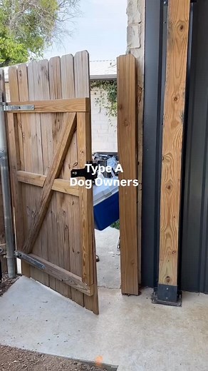 540K views · 3.3K reactions | No but I’m all seriousness, I love my type A pet parents, they come prepared  | Wild Dogs | Facebook