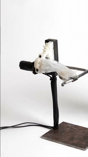 ASMR plastic from Austrian chocolate #asmr