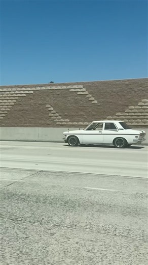Datsun 510 driving by #datsun #datsun510 #carvlog #jdm