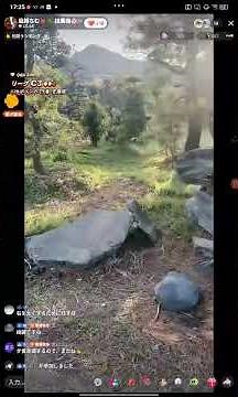 しだれ梅の剪定 庭師ちむ