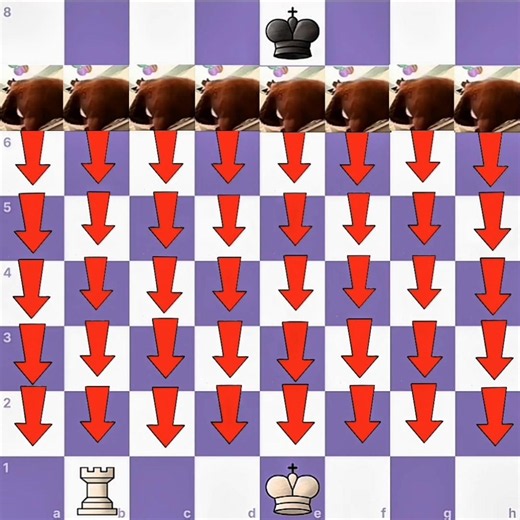 8 Pawns vs 1 Rook 🔥😈|Loopy Chess|Ep-59 #chess #funny #pawan #rook #checkmate #shorts