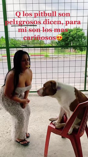 Yaneri Vélez on TikTok