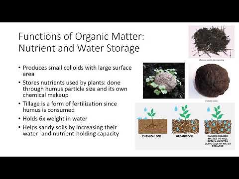 Soil Organic Matter