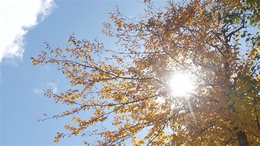 Fall just around the corner as Maine foliage report shows slower start