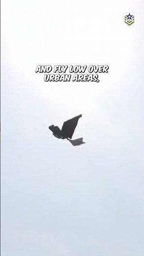 China’s New Spy Drone Looks Just Like a Bird
