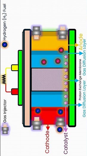 Hydrogen Fuel Cell Explained in Animation! #shortsfeed #shorts #scienceanimation