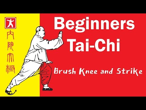 #1-Beginners Tai-Chi/ Brush Knee and Strike w Cain Yentzer