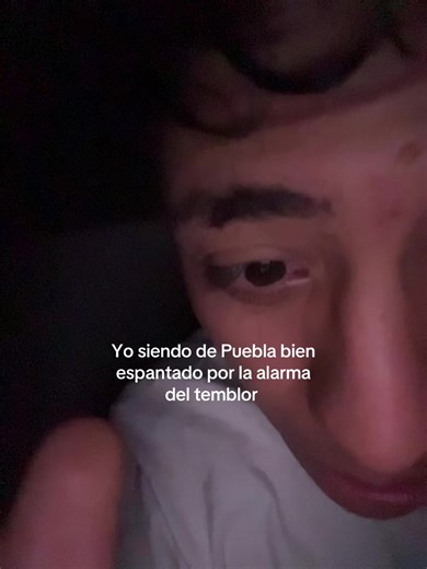 Surviving Earthquakes in Puebla