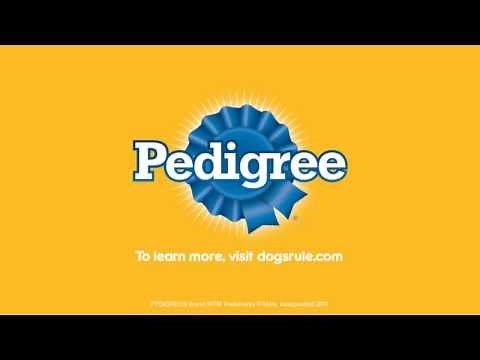 PEDIGREE® Nutrition Video: Puppy