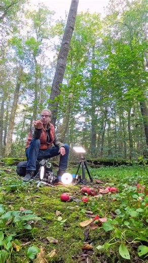 What a friendly bunch, woodpecker and squirrels gathering around the studio! My Insta360 setup catches it all: the X4 for everything happening (even behind my back) and two Ace Pro 2 with macro lenses for those close-up moments. 👉 Long videos and bonus clips posted daily on my Patreon! Link in bio. | Squirrels by Fotoscenen