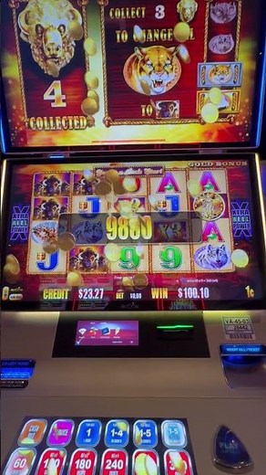 BIG WIN on 60 cents during bonus round on BUFFALO GOLD slot!! YAY!