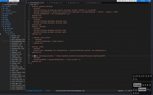 打造neovim IDE第十四期：代码折叠设置