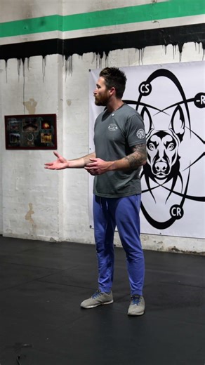 Stop Warning Your Dog: Why Too Many Cues Can Ruin Your “Out” Command