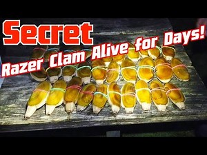 Washington State Razor Clamming | Keep A Week Alive Secret | Night Digging Skills | Crunchy Recipe