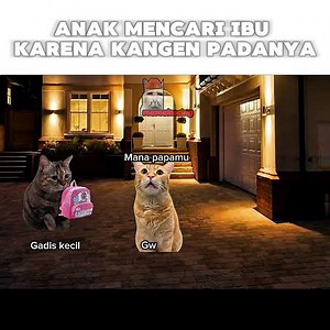 Anak mencari ibuknya dikarenakan kangen padanya #feedshorts #funnycats #memescat