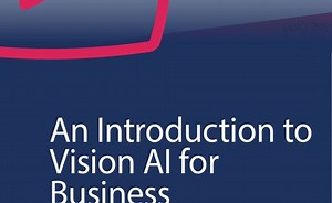 An Introduction to Vision AI for Business
