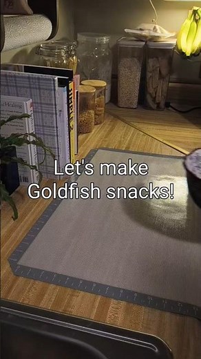Goldfish Crackers Homemade ~ homemade snacks!