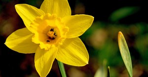 U.S. weather: Spring Outlook 2016