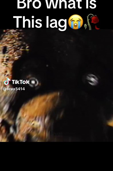 Springtrap FNAF Edit: An Artistic Showcase