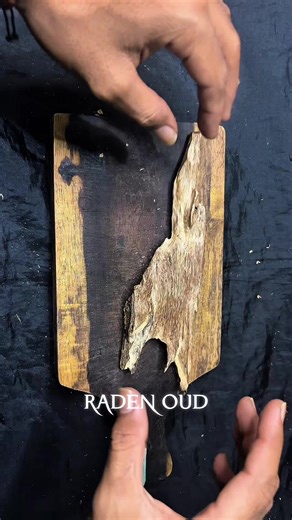 The Journey from Wood to Oud: Discovering Agarwood