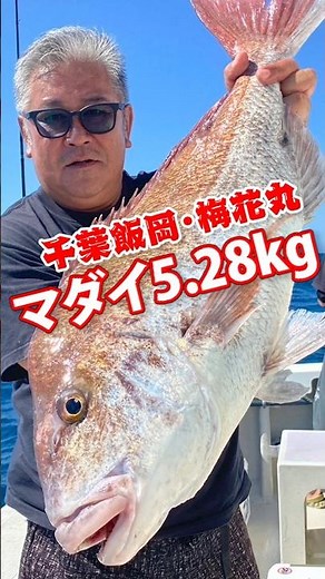 Special Red Sea Bream 5.28kg [Captain's View] Chiba Iioka, Baika Maru 2025.9.6 #fishing #fishing ...