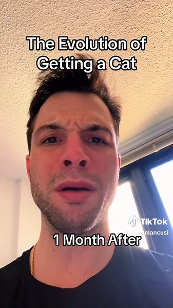 The Evolution of Getting a Cat: From