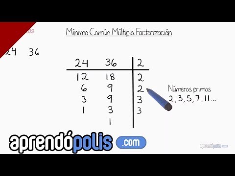 MCM por descomposición en factores primos