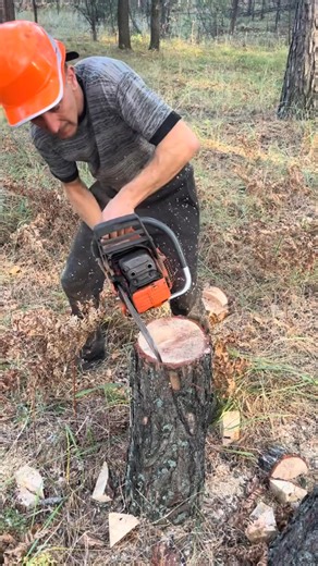 "From tall to tidy – tree cutting made easy 🌲✨"#TreeService #TreeTrimming #TreeRemoval #TreeCare #GardenCare #LawnCare #OutdoorMaintenance lis.tv6 | lis.tv6